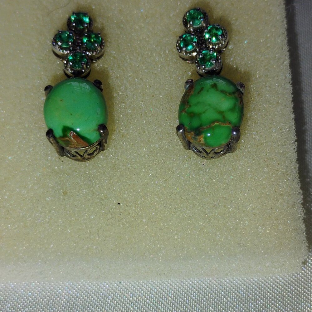 Utah Variscite Earrings In Sterling Silver
